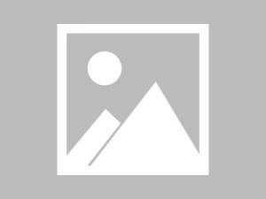 上海品质交友宣言：我们不一样